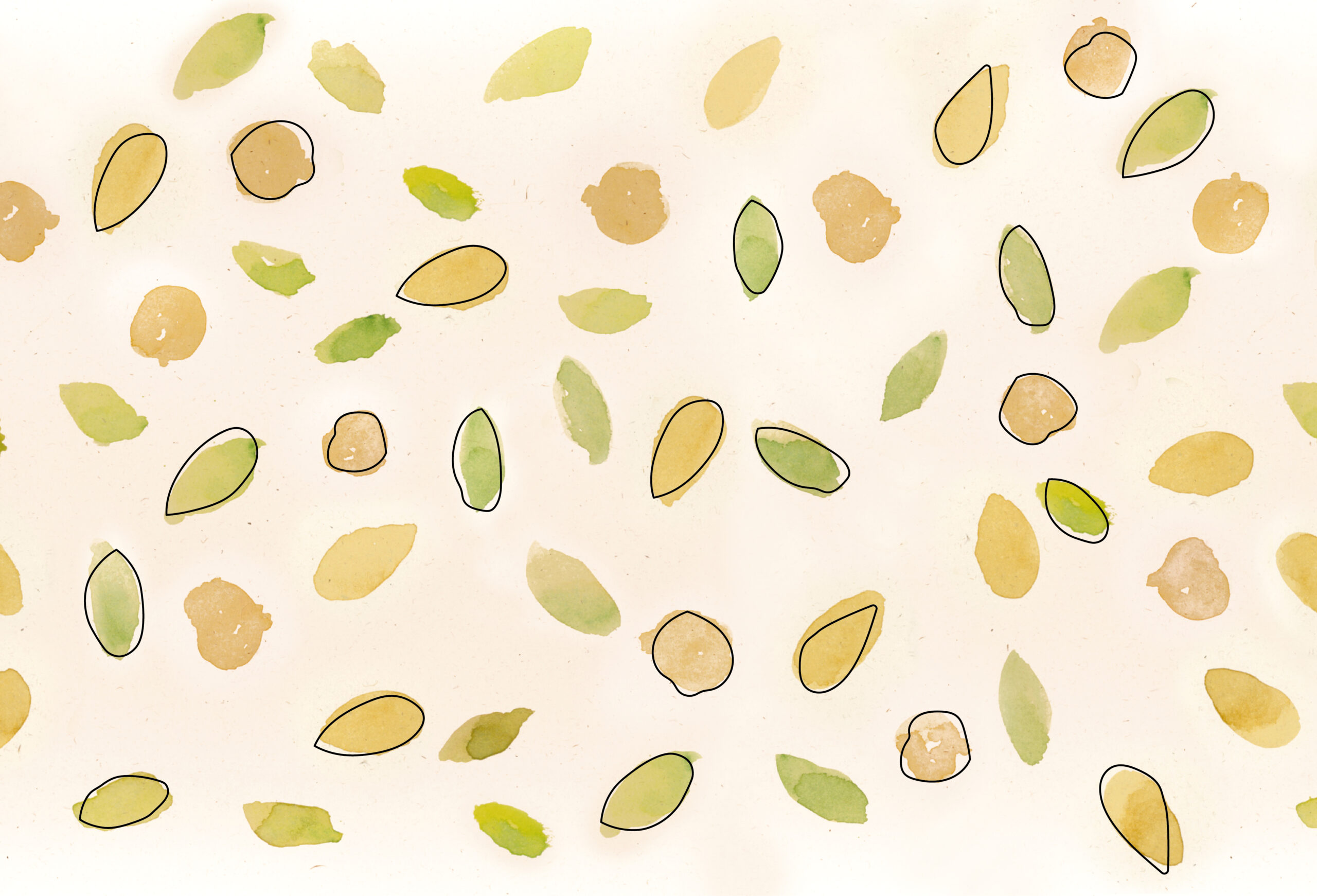 torrone renna-packaging-01
