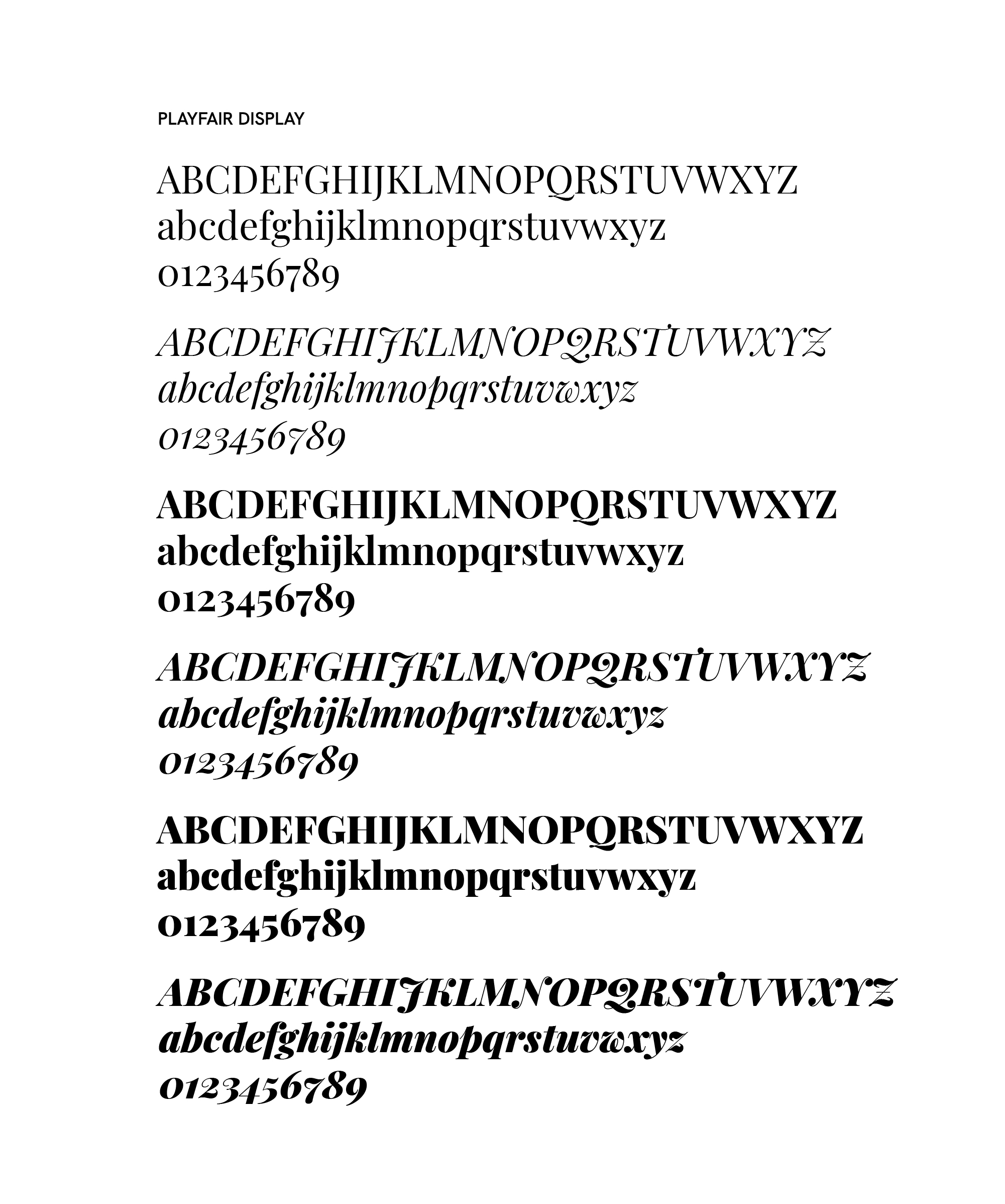 CASE STUDY-julia paiva-09